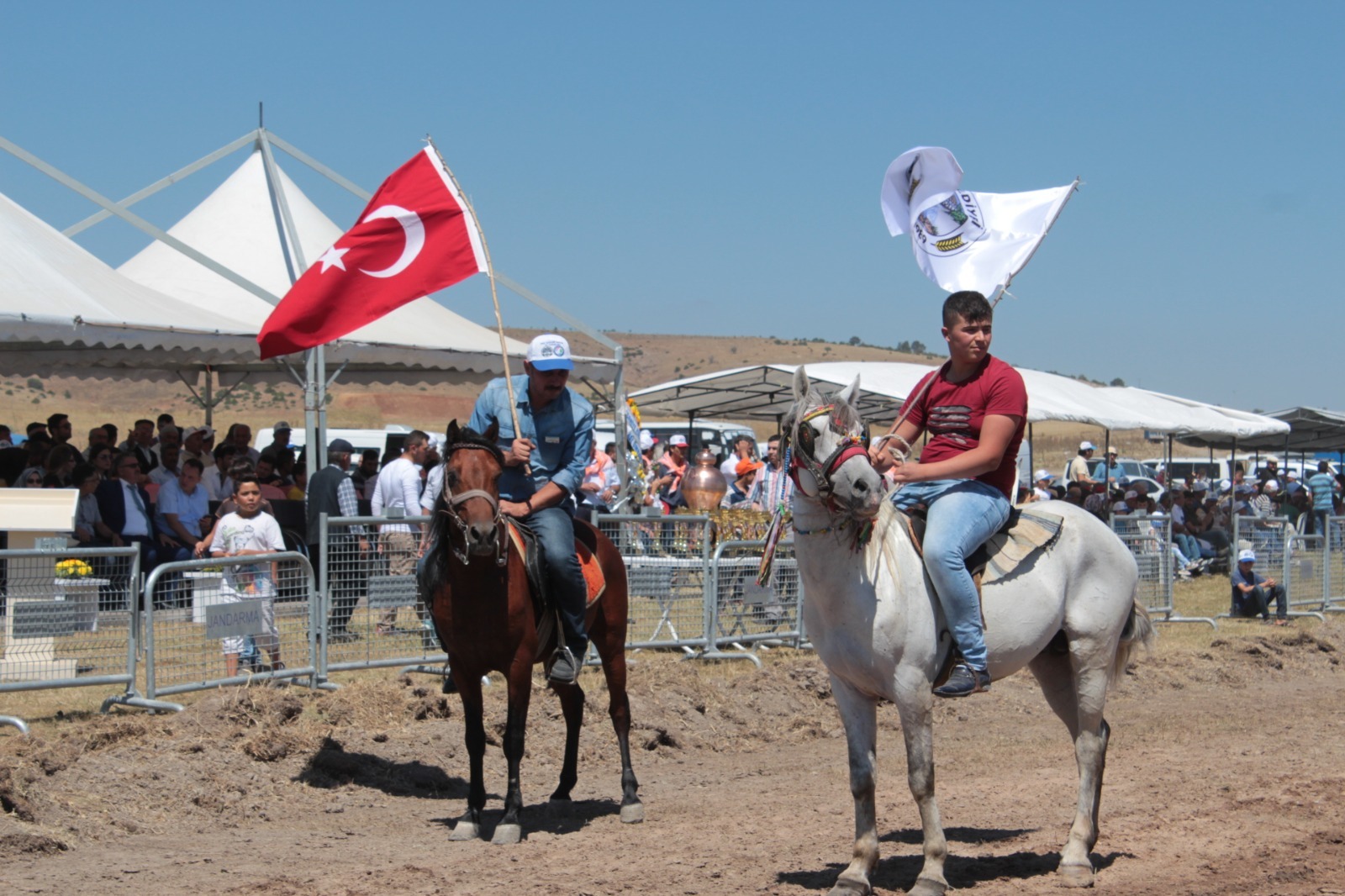 Rahvat At Yari Lari Start Aliyor Bolu Takip Gazetesi