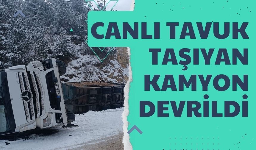 Buzlu Yolda Kontrolden Kan Kamyon Devrildi Bolu Takip Gazetesi