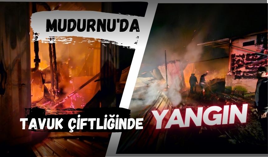 Mudurnu da tavuk çiftliğinde yangın çıktı Bolu Takip Gazetesi