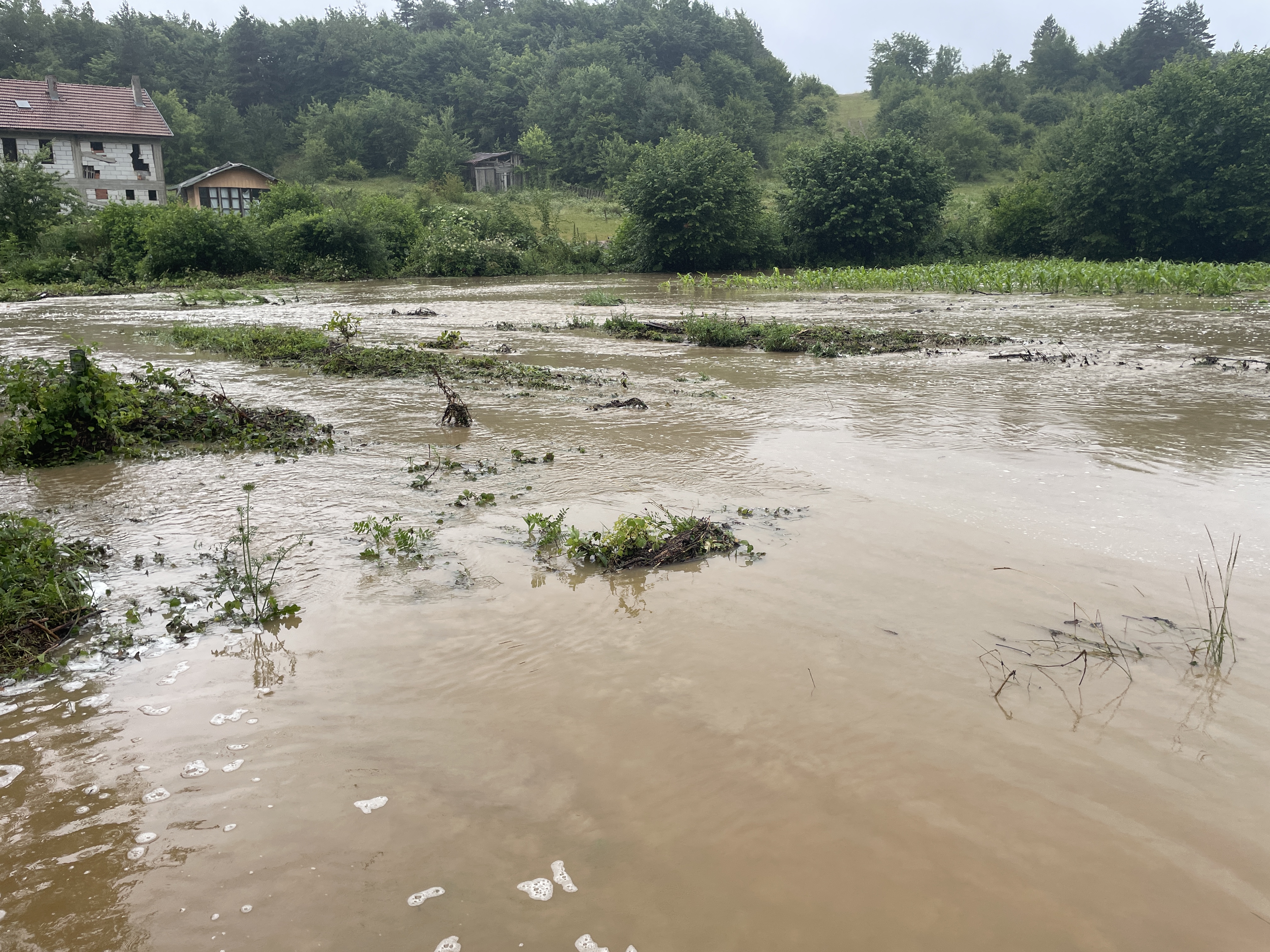 Bolu'da sağanağın ardından derenin taşması sonucu tarım arazileri ile Abant kara yolu sular altında kaldı.