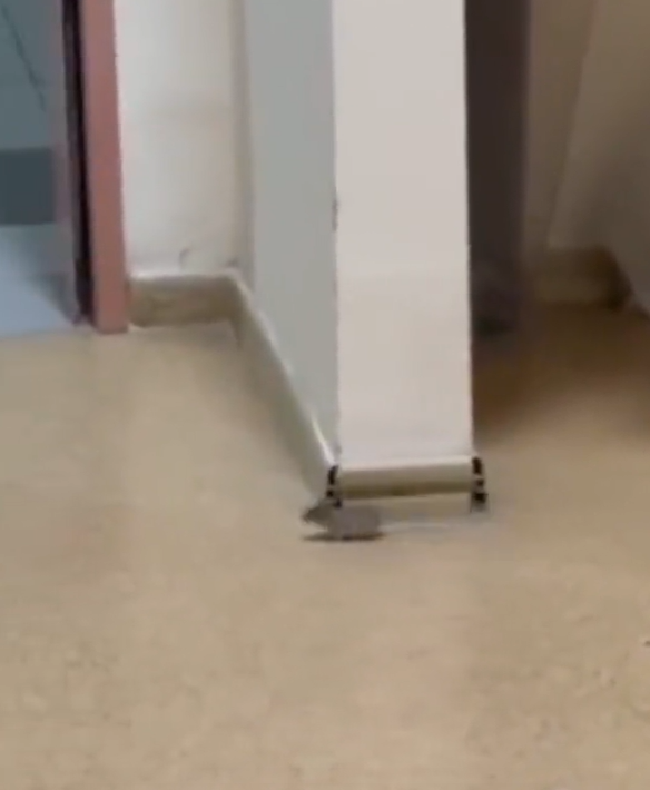 Ekran Görüntüsü 2025 11 10 131242