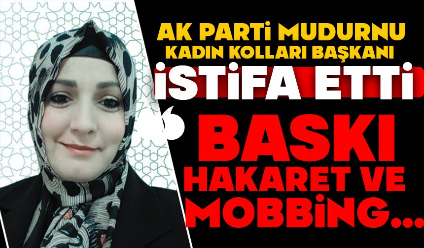 Ak Parti Mudurnu Kadın Kolları Başkanı İstifa Etti  “Baskı, Hakaret Ve Mobbing…”