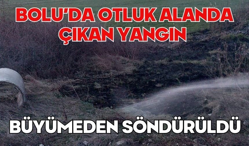 Bolu’da otluk alanda çıkan yangın büyümeden söndürüldü