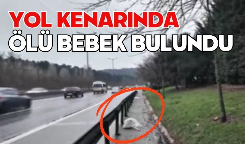 Yol kenarında ölü bebek bulundu
