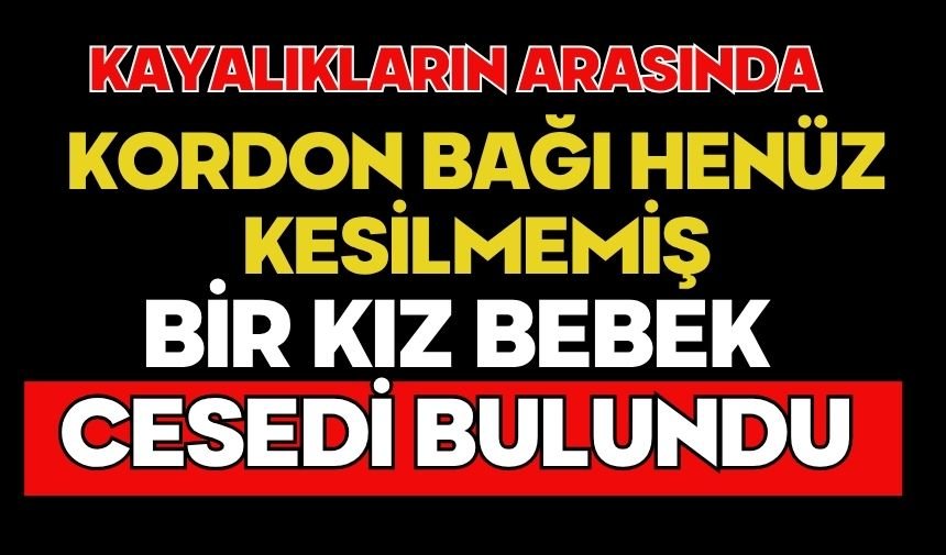 Kayalıkların arasında kordon bağı henüz kesilmemiş bir kız bebek cesedi bulundu