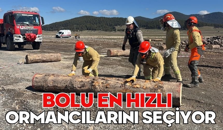Bolu en hızlı ormancılarını seçiyor