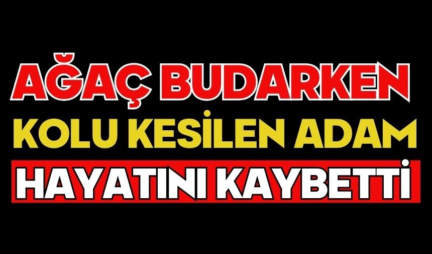 Ağaç budarken kolu kesilen adam hayatını kaybetti
