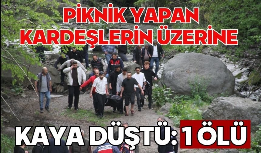Piknik yapan kardeşlerin üzerine kaya düştü: 1 ölü