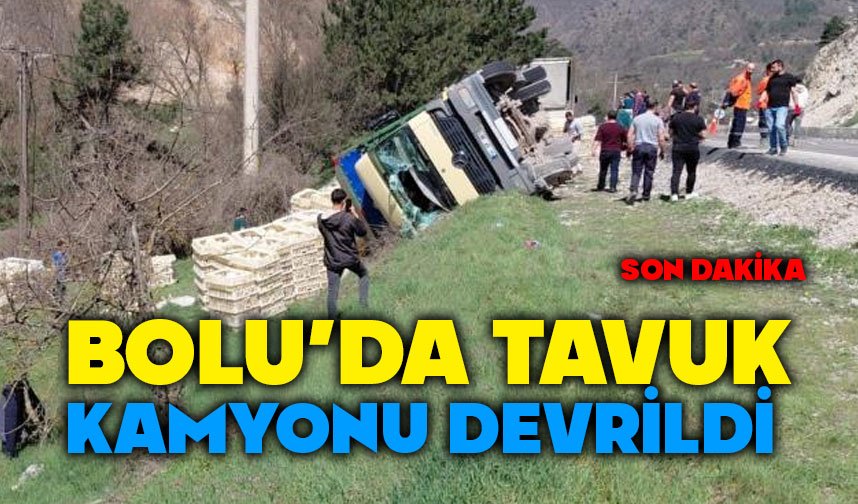 Bolu'da tavuk kamyonu devrildi
