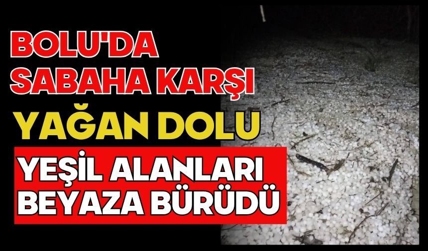 Bolu'da sabaha karşı yağan dolu yeşil alanları beyaza bürüdü