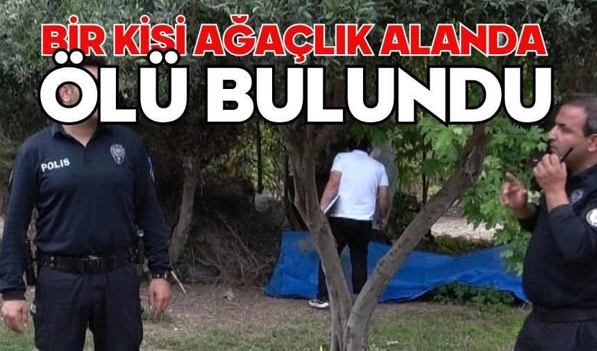 Bir kişi ağaçlık alanda ölü bulundu