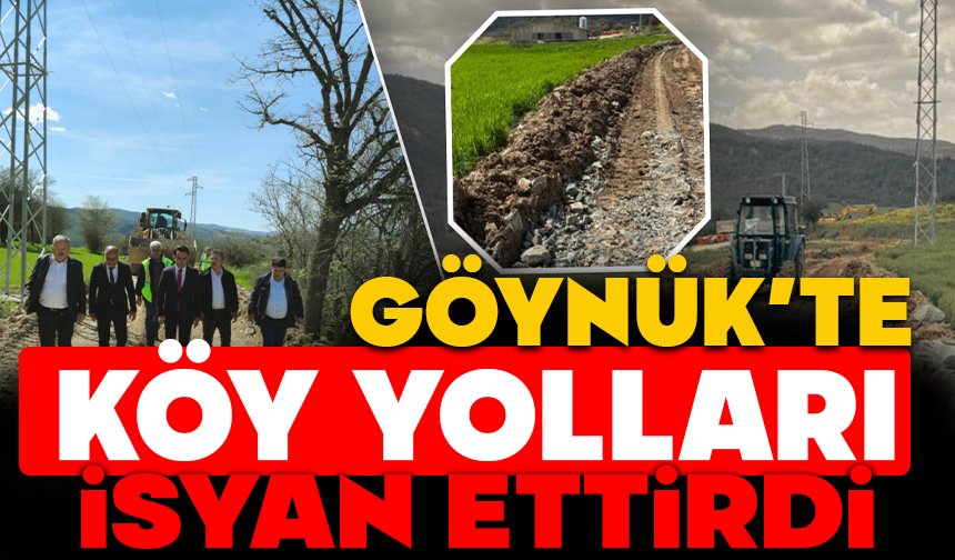 Göynük'te köy yolları isyan ettirdi