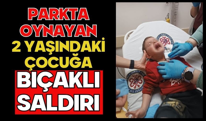 Parkta oynayan 2 yaşındaki çocuğa bıçaklı saldırı