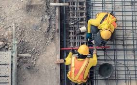 TARIM VE ORMAN BAKANLIĞI - DESTEK HİZMETLERİ DAİRESİ BAŞKANLIĞI