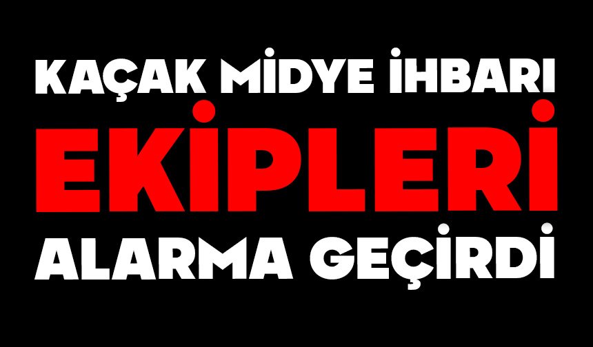 Kaçak midye ihbarı ekipleri alarma geçirdi