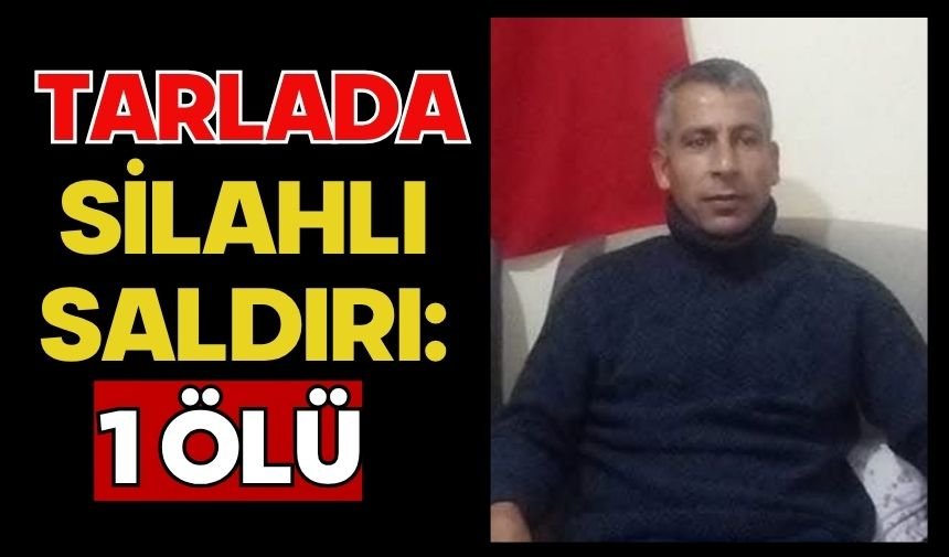 Tarlada silahlı saldırı: 1 ölü