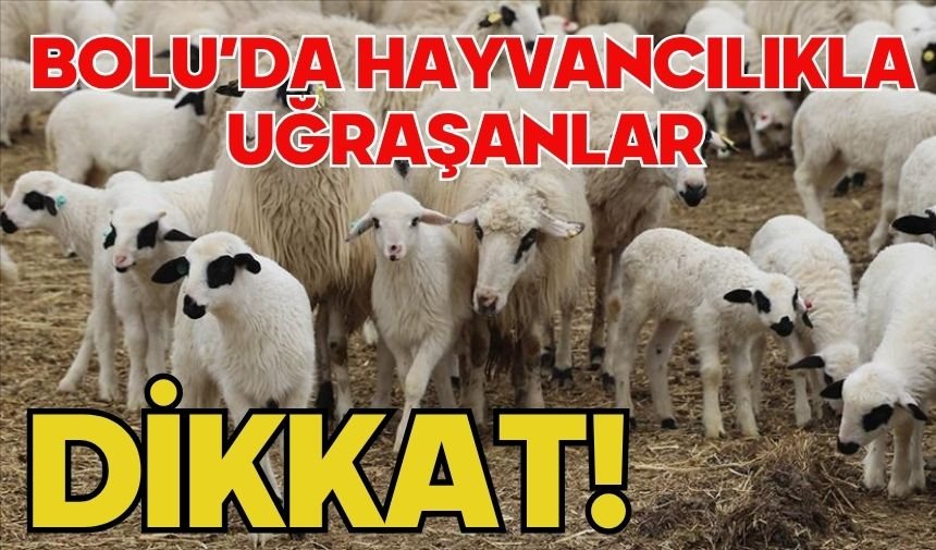 BOLU’DA HAYVANCILIKLA UĞRAŞANLAR DİKKAT!