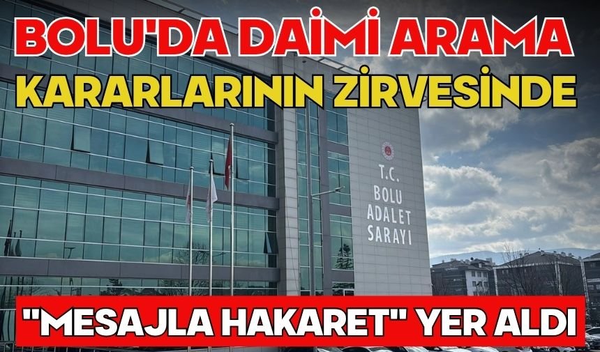 Bolu'da daimi arama kararlarının zirvesinde "mesajla hakaret" yer aldı