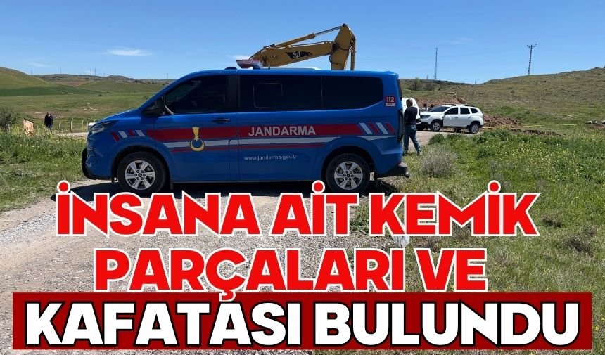 İnsana ait kemik parçaları ve kafatası bulundu