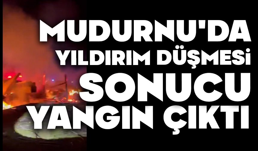 MUDURNU'DA YILDIRIM DÜŞMESİ SONUCU YANGIN ÇIKTI