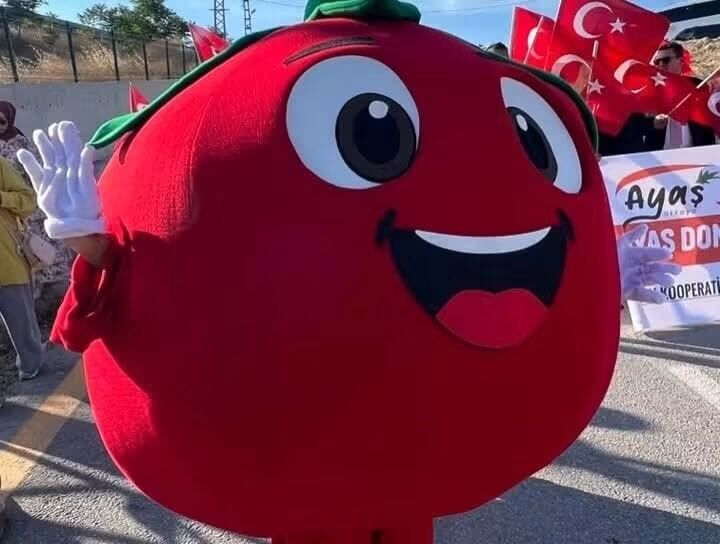 Ayaş Domates Festivali, renkli görüntülerle başladı