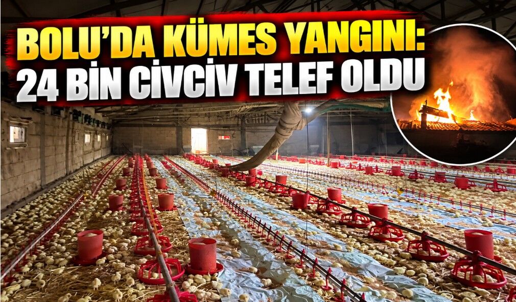 Bolu'da kümes yangını: 24 bin civciv telef oldu