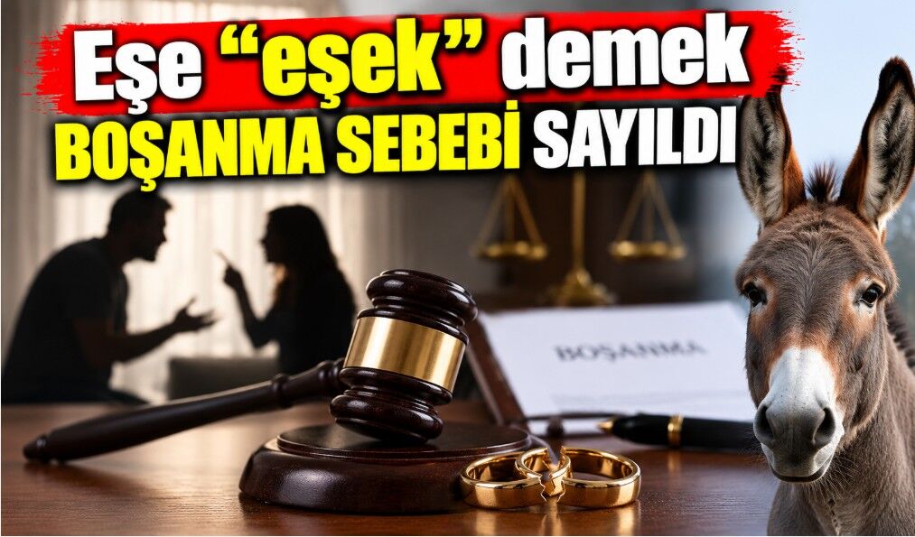 Eşe "eşek" demek boşanma sebebi sayıldı