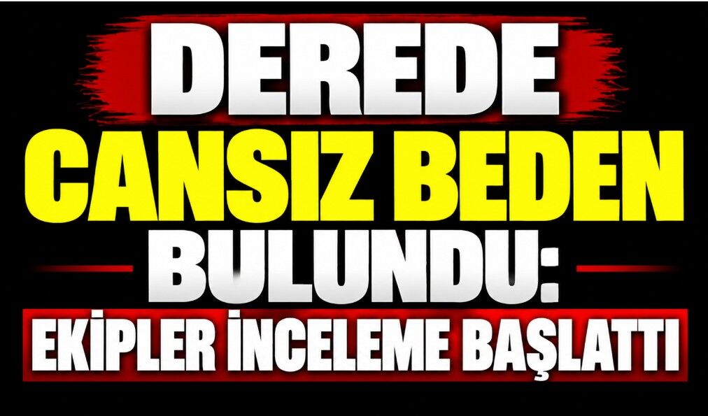 Derede Cansız Beden Bulundu: Ekipler İnceleme Başlattı