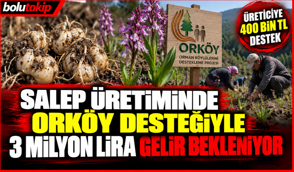 Salep üretiminde ORKÖY desteğiyle 3 milyon lira gelir bekleniyor