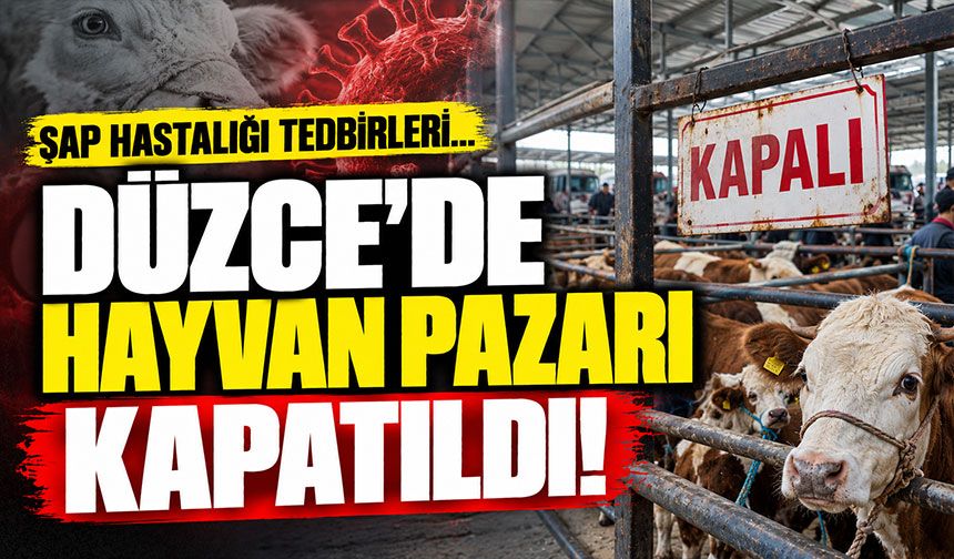 Düzce hayvan pazarı tedbir amaçlı kapandı