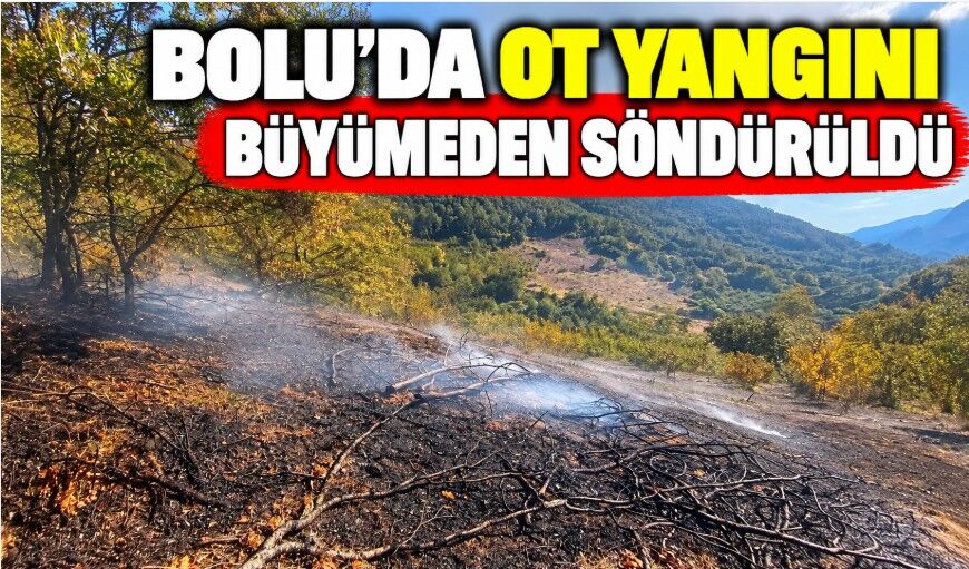 Bolu’da ot yangını büyümeden söndürüldü