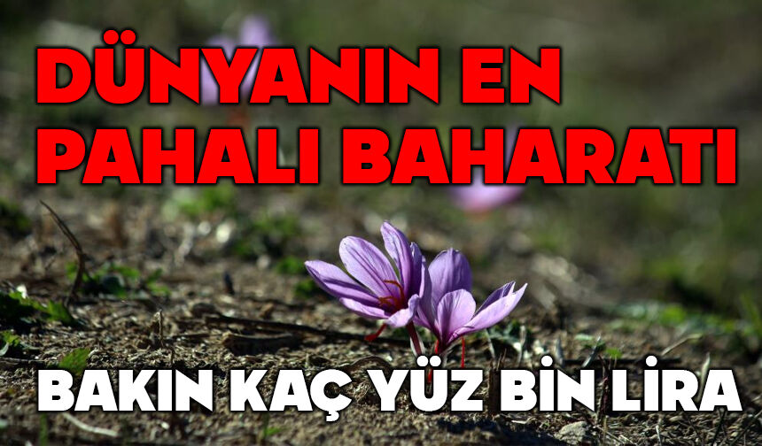 Dünyanın en pahalı baharat kaç yüz bin lira