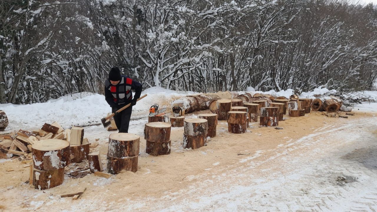 Bolu'da orman köylüleri depremzedelere 52 ton yakacak odun gönderdi