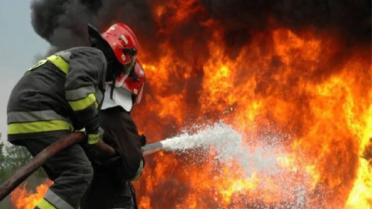 Zonguldak yanıyor: İtfaiye ekipleri alarma geçti