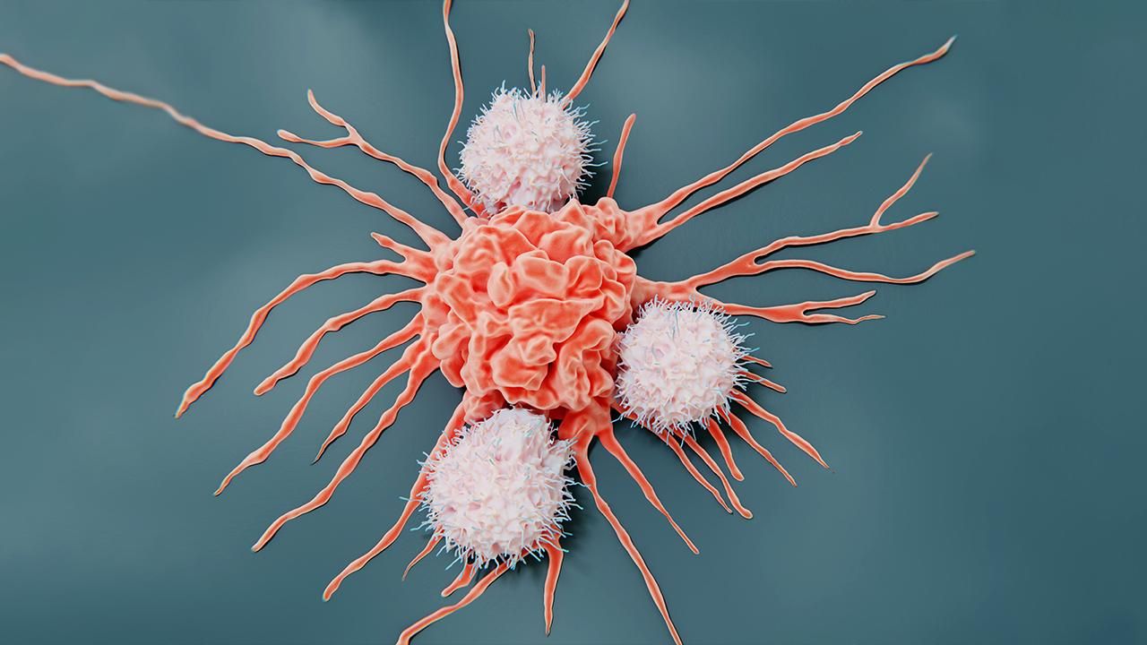 Kanser tedavisinde umut veren gelişme: Hedefli kemoterapi hapı