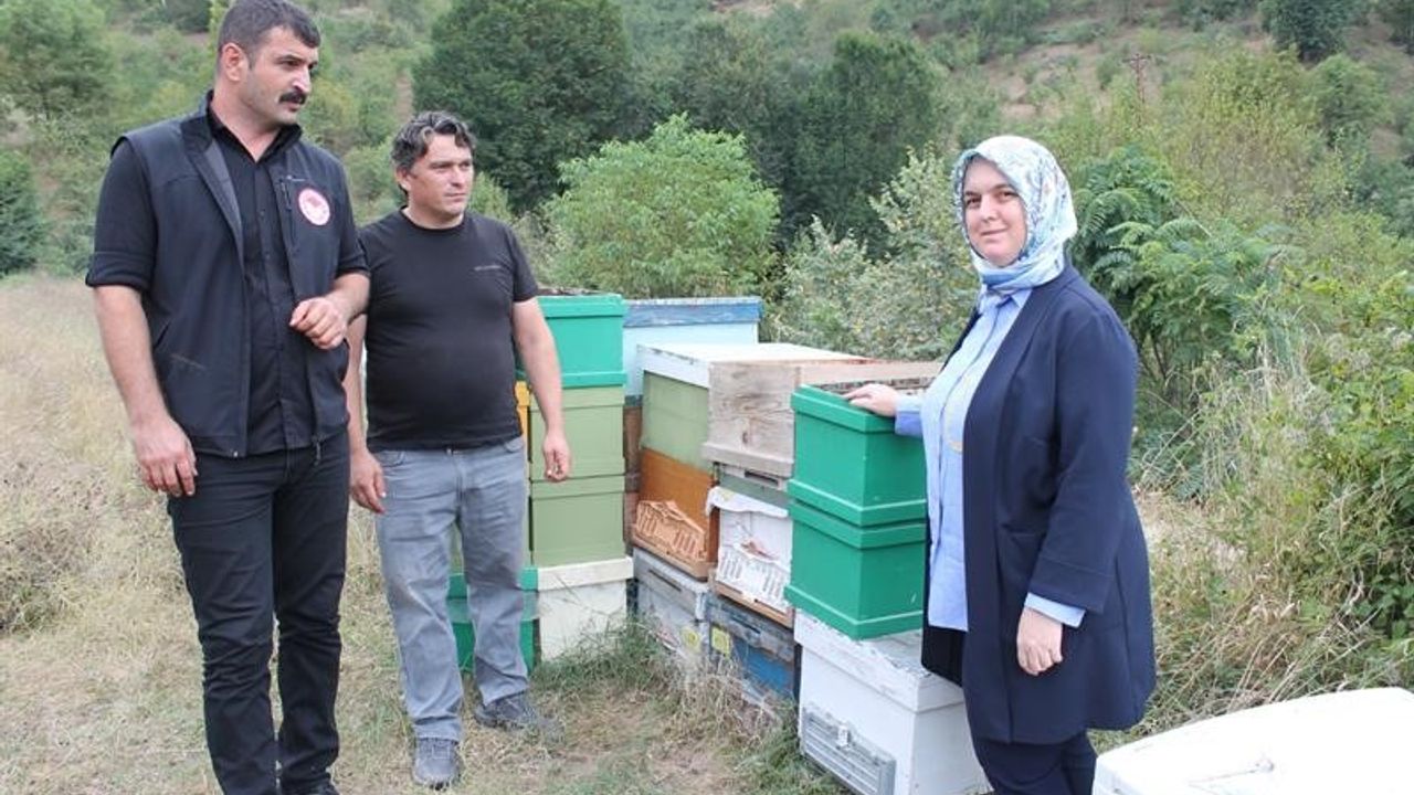 Bal arısı üretim sahası incelendi   