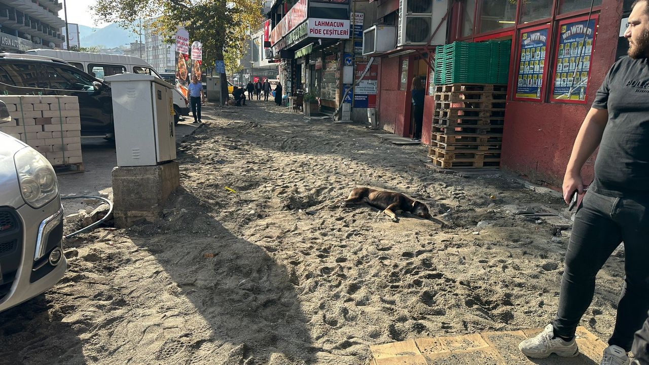 Zonguldak Belediyesi'nin kaldırım yenileme çalışmaları sürüyor