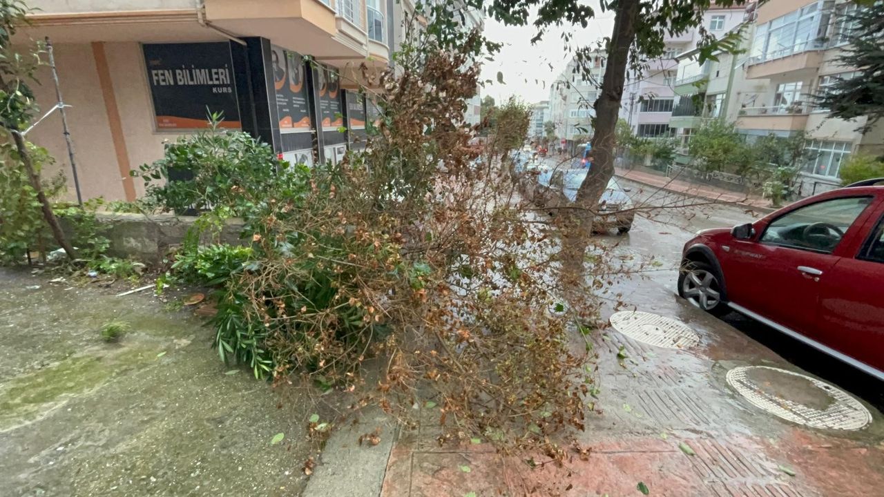 Sinop’ta fırtına: Tabelalar ve ağaçlar devrildi
