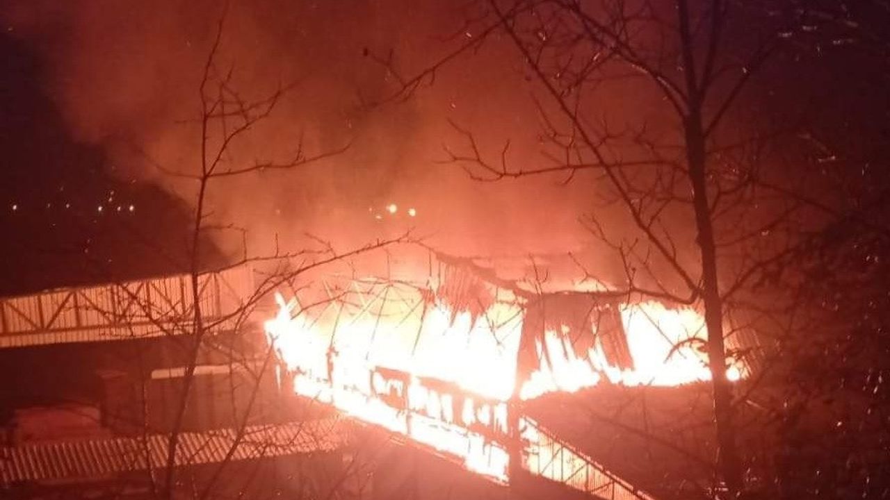 Sinop'ta kereste fabrikasında yangın