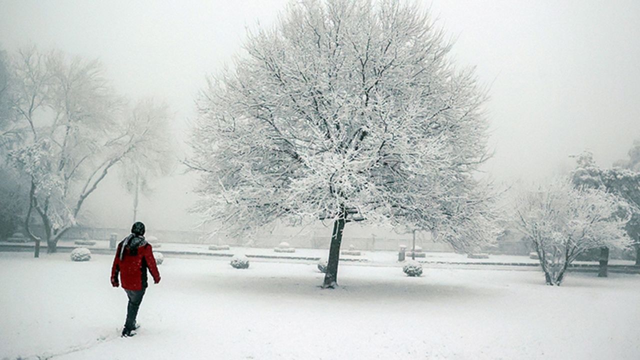 ABD'deki yoğun kar yağışı ve soğuk hava 6 günde 21 kişi ölümüne neden oldu