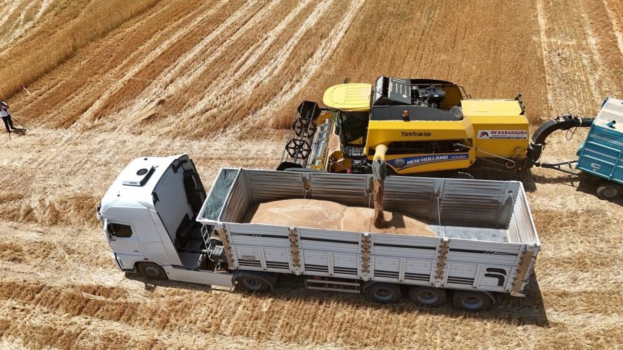 İthalat açıklaması bile arpanın ateşini düşürmedi