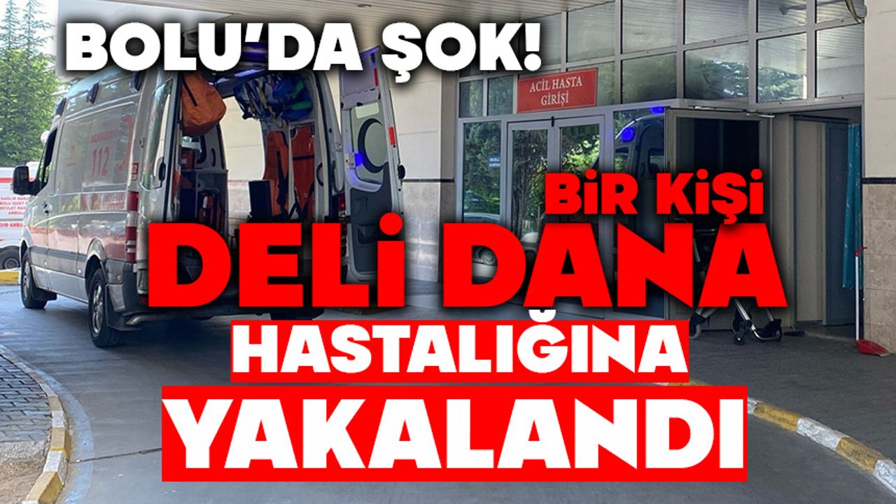 Bolu'da bir hastada 'deli dana' hastalığı tespit edildi