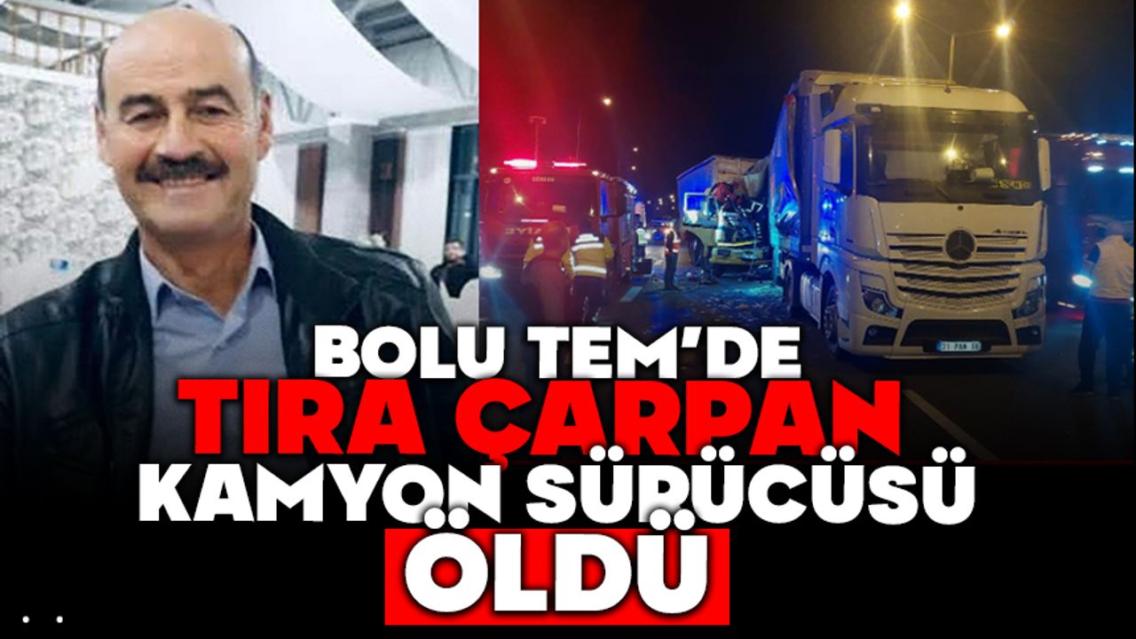 Bolu TEM’de tıra çarpan kamyon sürücüsü öldü