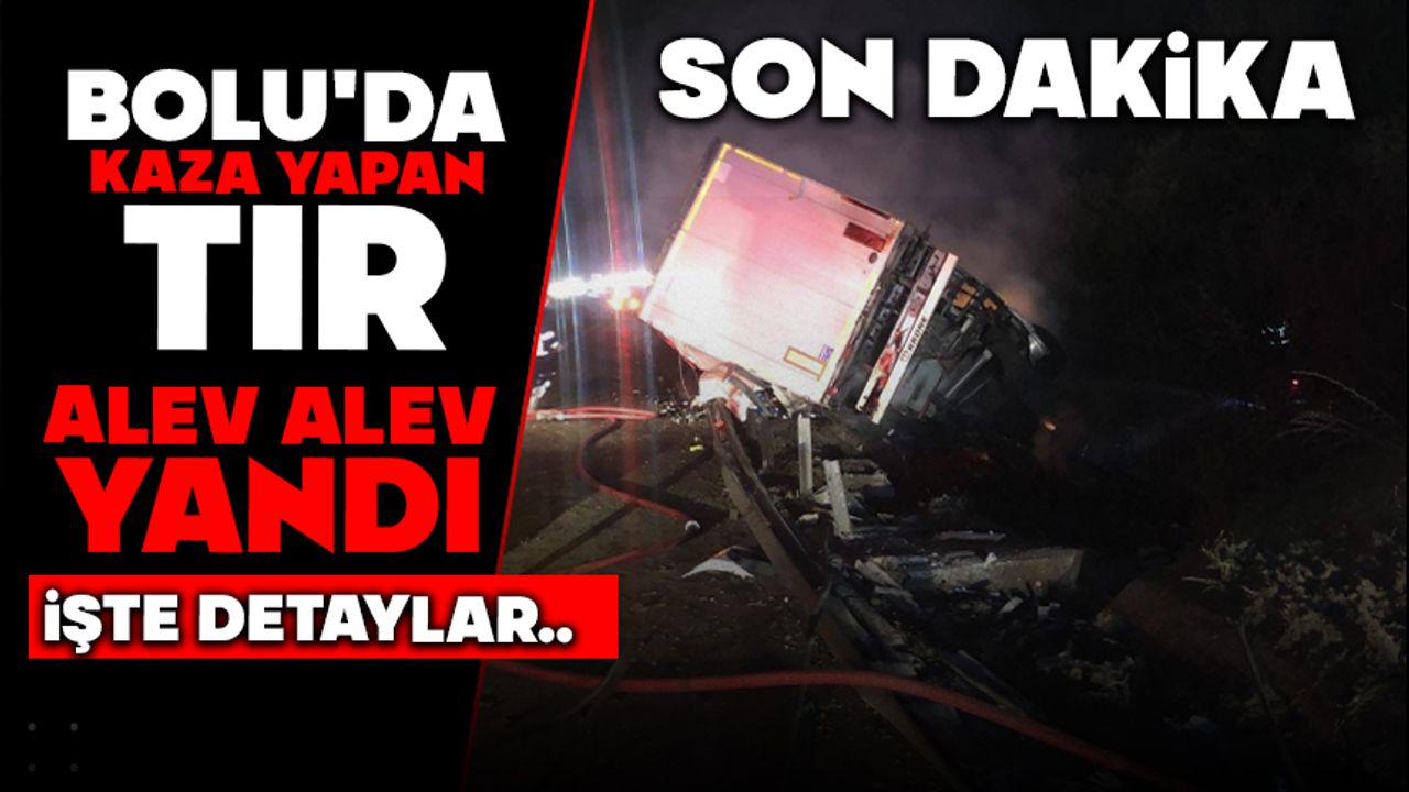Bolu'da kaza yapan tır alev alev yandı