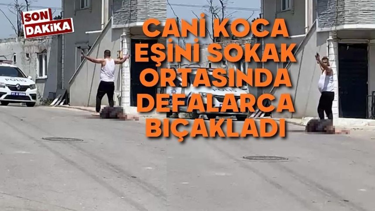 Eşini sokak ortasında defalarca bıçakladı