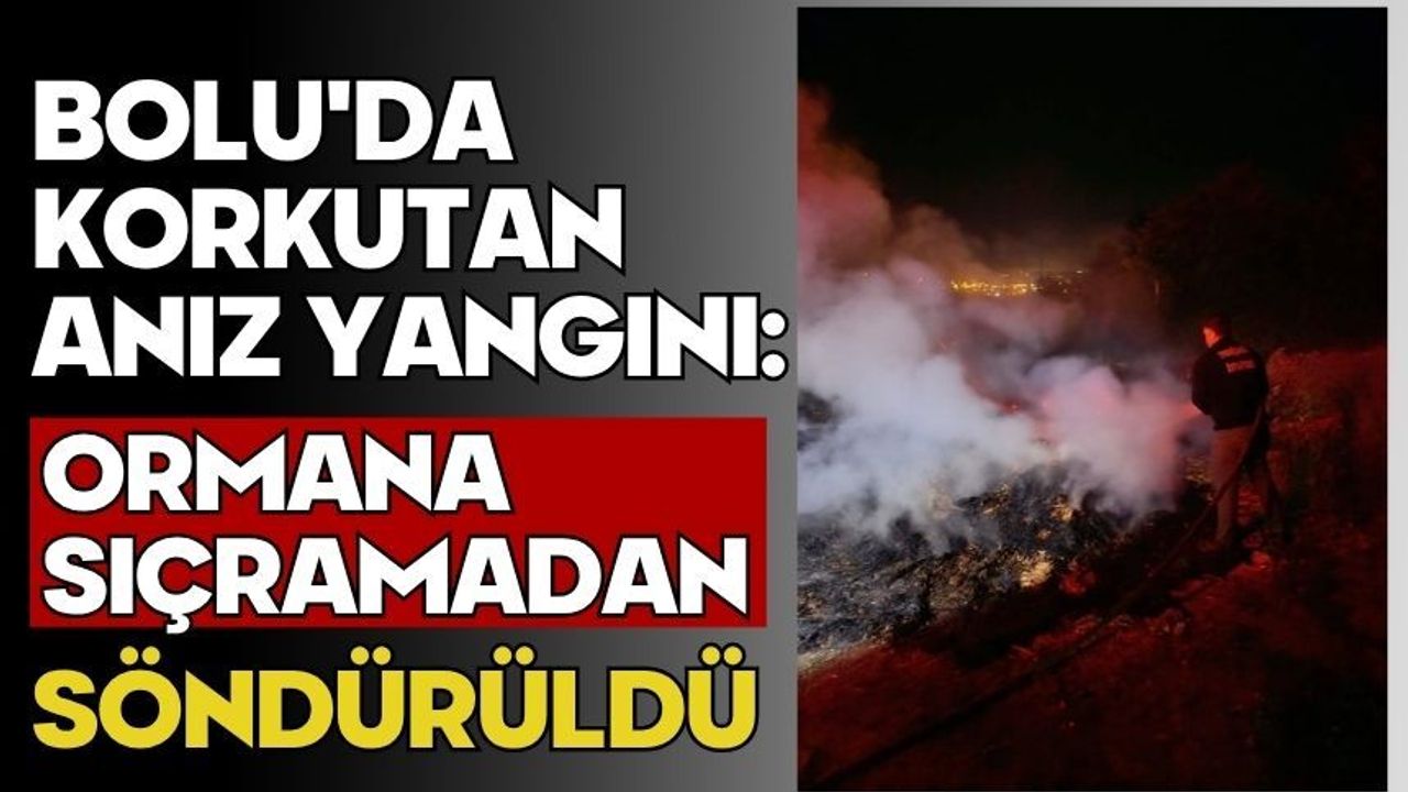 Bolu'da korkutan anız yangını: Ormana sıçramadan söndürüldü