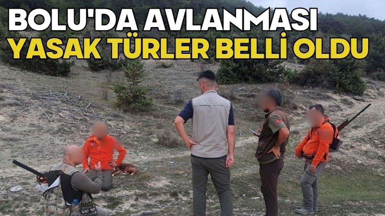 Bolu'da avlanması yasak türler belli oldu