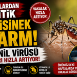 Uzmanlardan kritik sivrisinek alarmı: Batı Nil virüsü vakaları hızla artıyor!