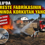 Bolu’da kereste fabrikasının yanında korkutan yangın