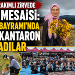 Bin 850 rakımlı zirvede şifa mesaisi: Hacet Bayramı'nda sarı kantaron topladılar